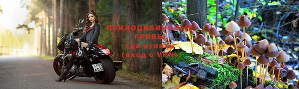 кокаин премиум Приозерск