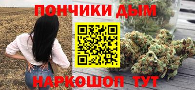 прущие грибы Краснодар