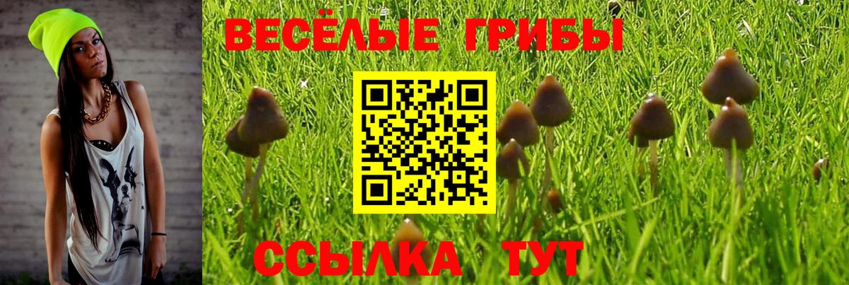 Псилоцибиновые грибы Psilocybine cubensis Сердобск