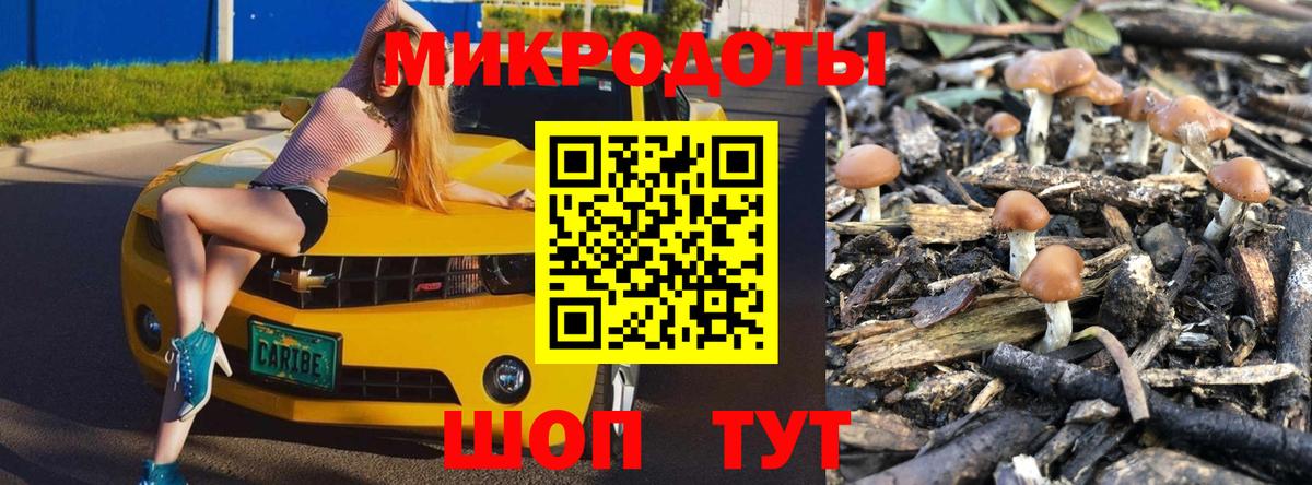 НБОМе Сердобск