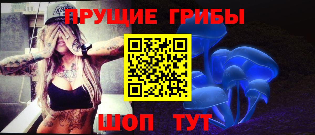 Галлюциногенные грибы GOLDEN TEACHER  Галлюциногенные грибы MAGIC MUSHROOMS  продажа наркотиков  Сердобск 