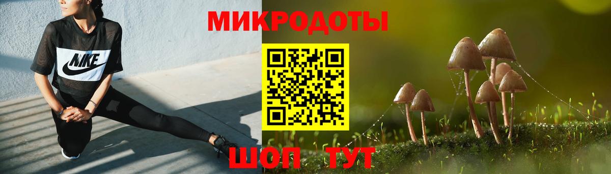 Сердобск  Галлюциногенные грибы прущие грибы  Вход с VPN 